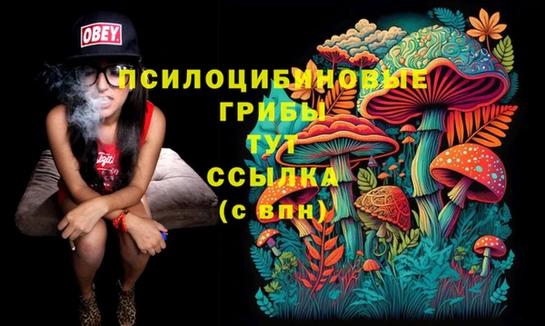 экстази Алексин