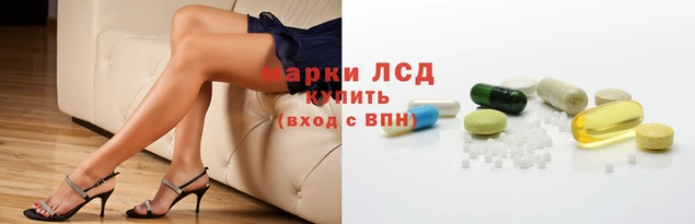 ПСИЛОЦИБИНОВЫЕ ГРИБЫ Аркадак