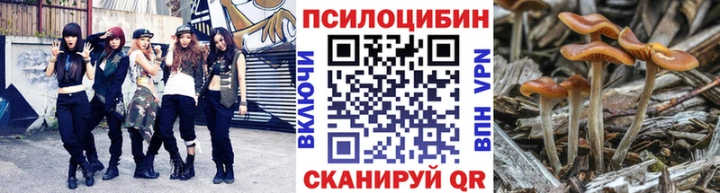 Купить закладки  Питкяранта  Галлюциногенные грибы прущие грибы 